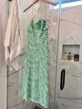 Zara Mint and Cream Zebra Knit Top